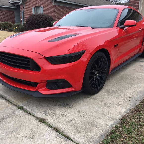 Meet your Posher, Terry - Picture 1 of 1